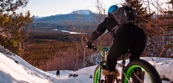 Fat bike