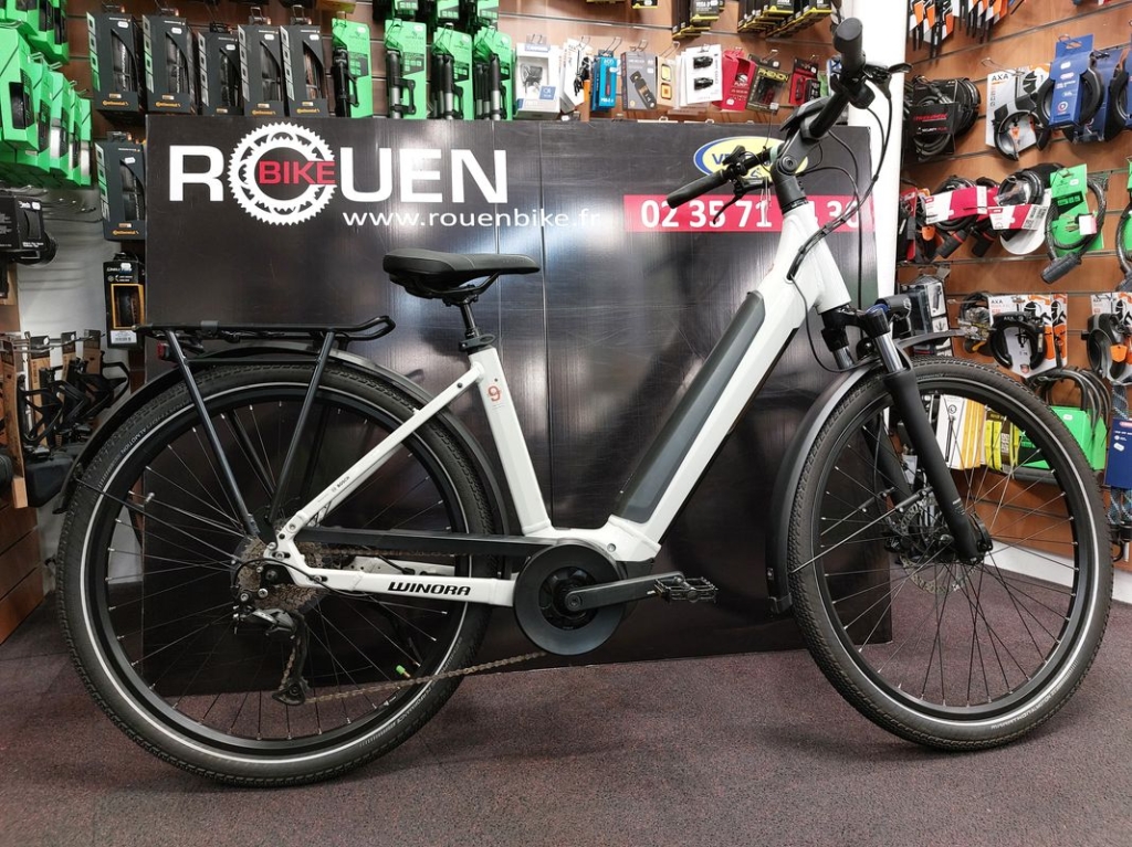 Vélo électrique Sinus I9