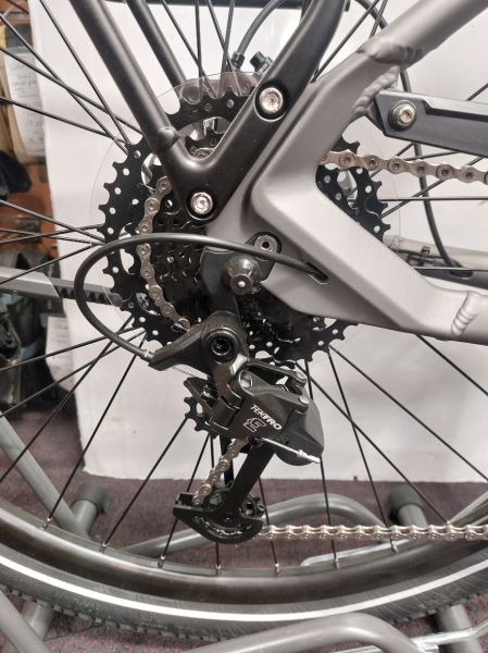 VTC électrique Pegasus Premio Evo CX